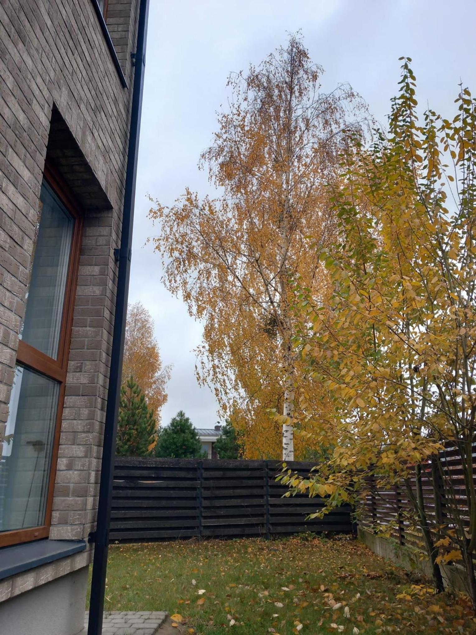SPA house view 2