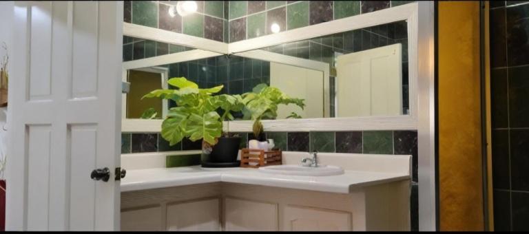 Cosy Uptown Apartments 6 Minutes to the City Centre view 3