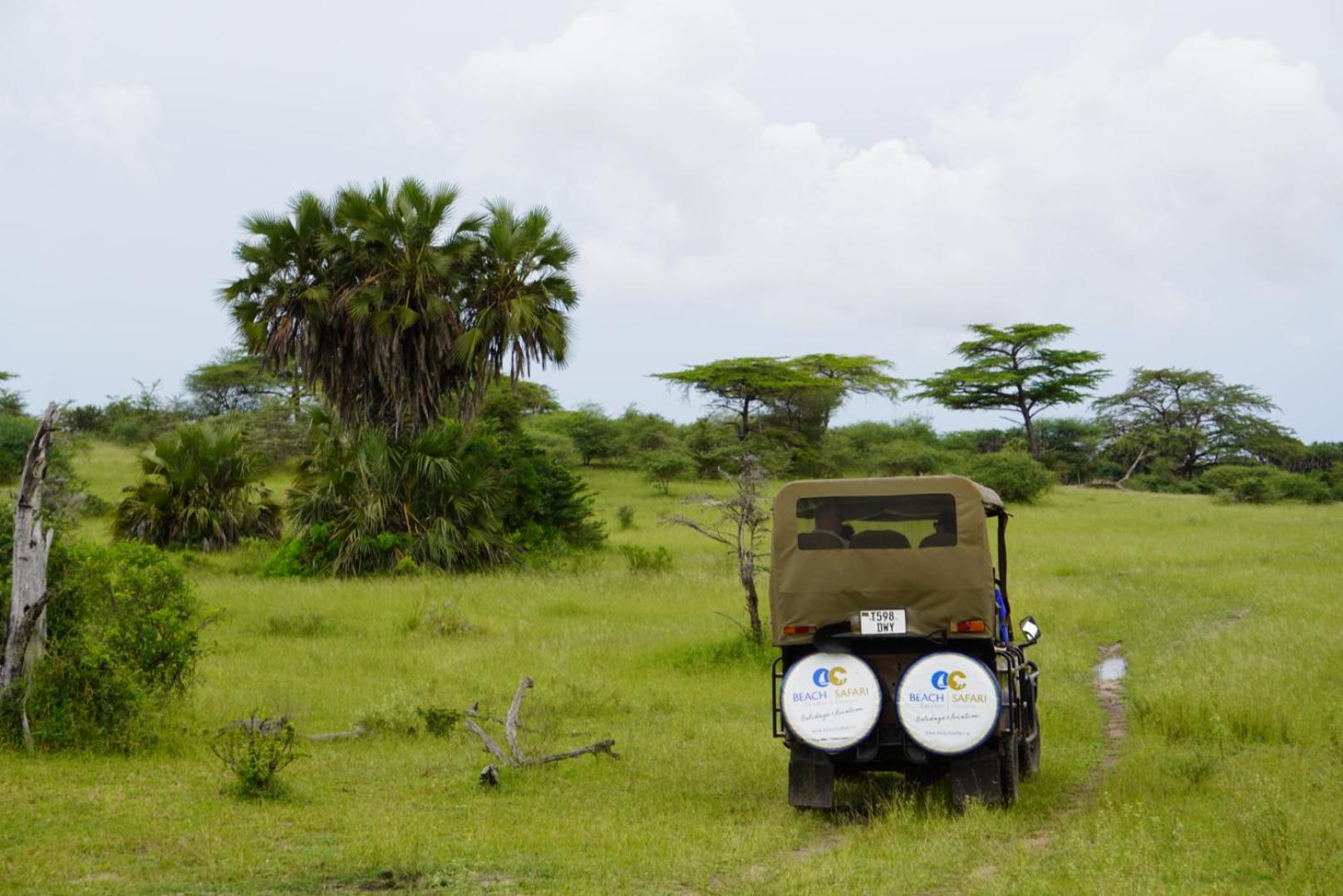 Africa Safari Nyerere