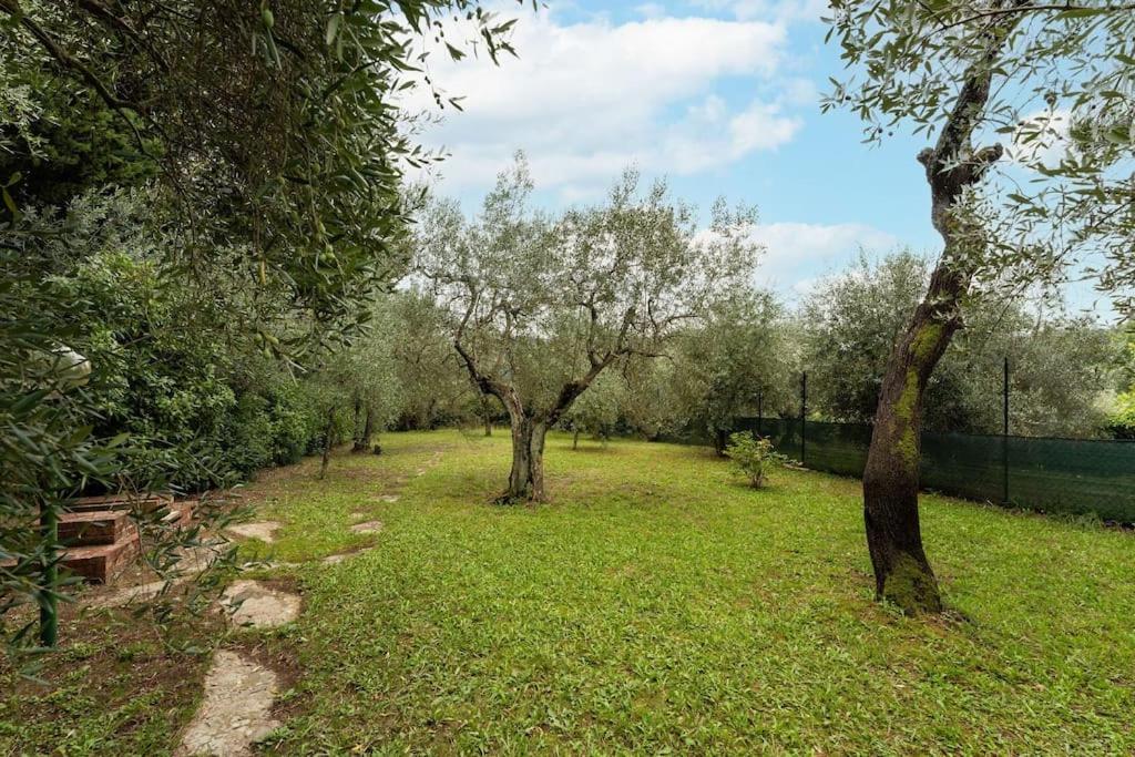 Via Bolognese, 238 Firenze - Villa Emma - Il Tuo Soggiorno Immerso Nel Verde