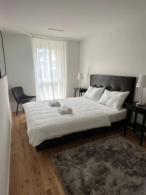 Modern Apt with top location in Kloten