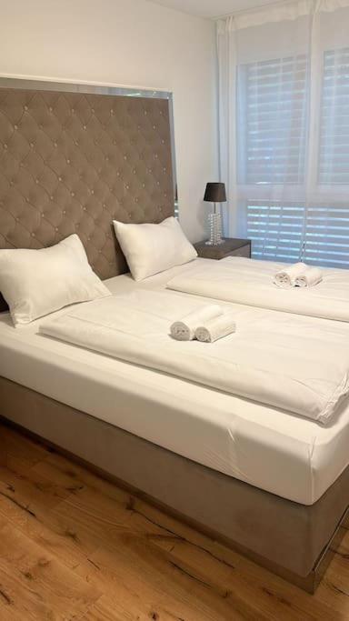 Modern Apt with top location in Kloten