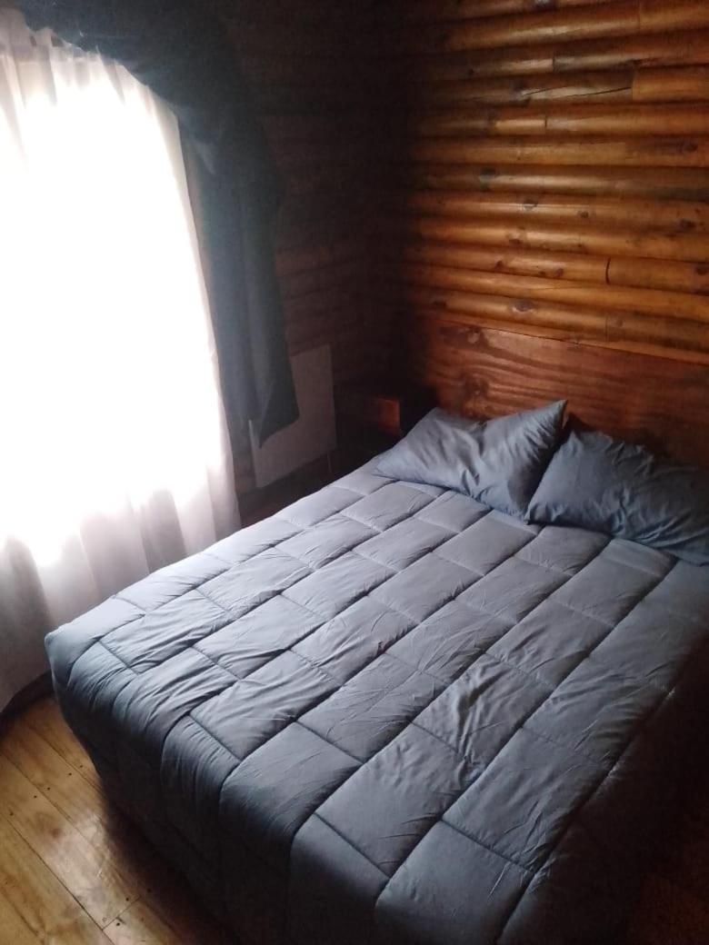 Foresta Acantilados, Casa Container y Cabaña de Troncos
