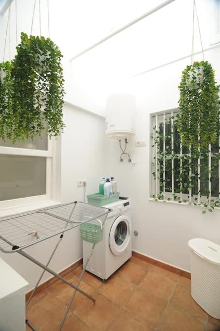 Casa Calma II Piso Céntrico en Tacoronte