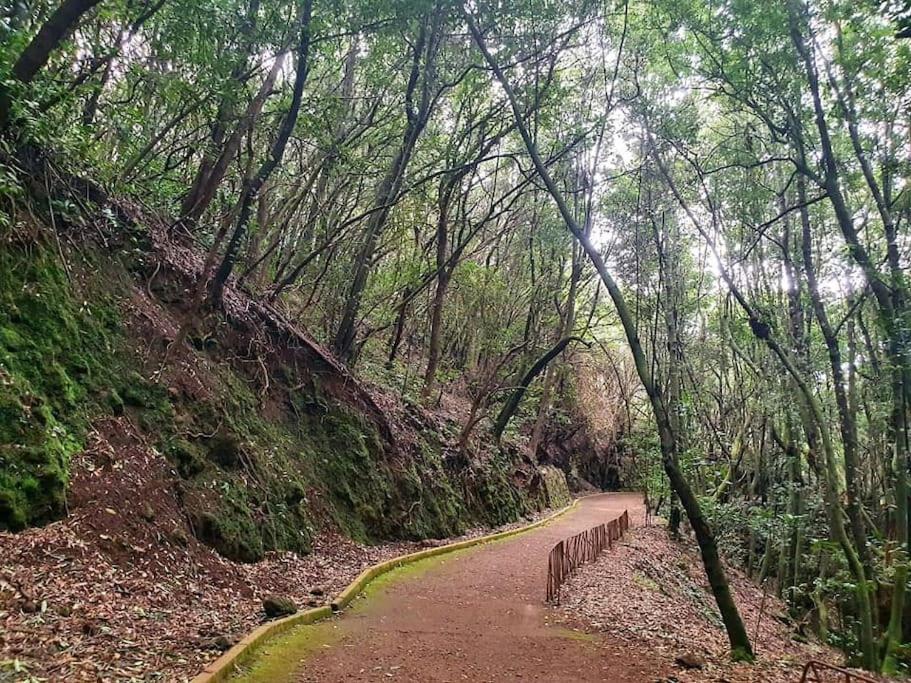 Casa Calma II Piso Céntrico en Tacoronte