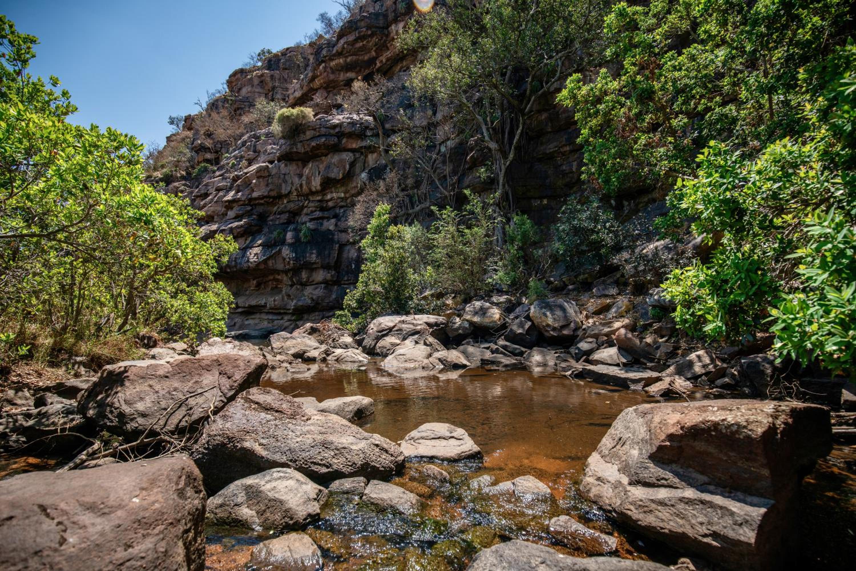 The Riverine Lodge