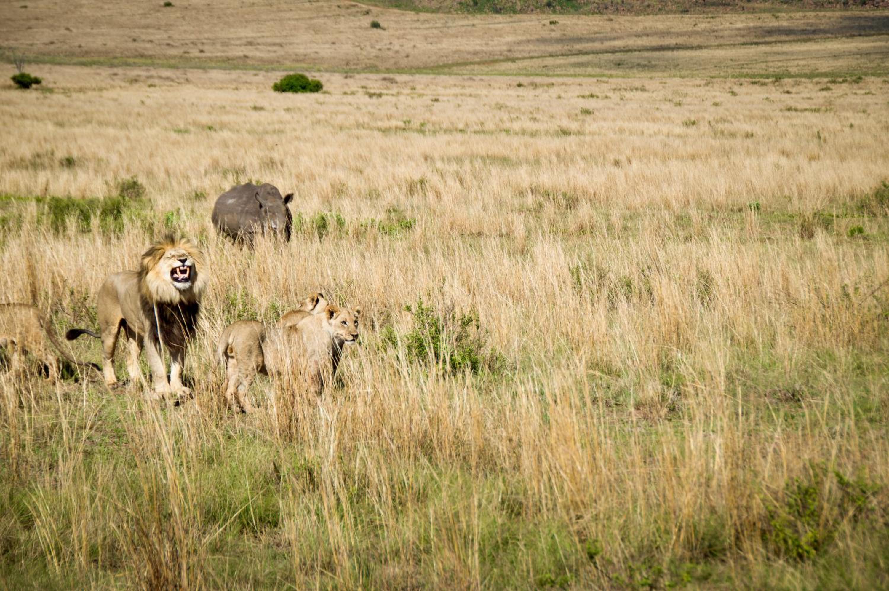 The Riverine Lodge