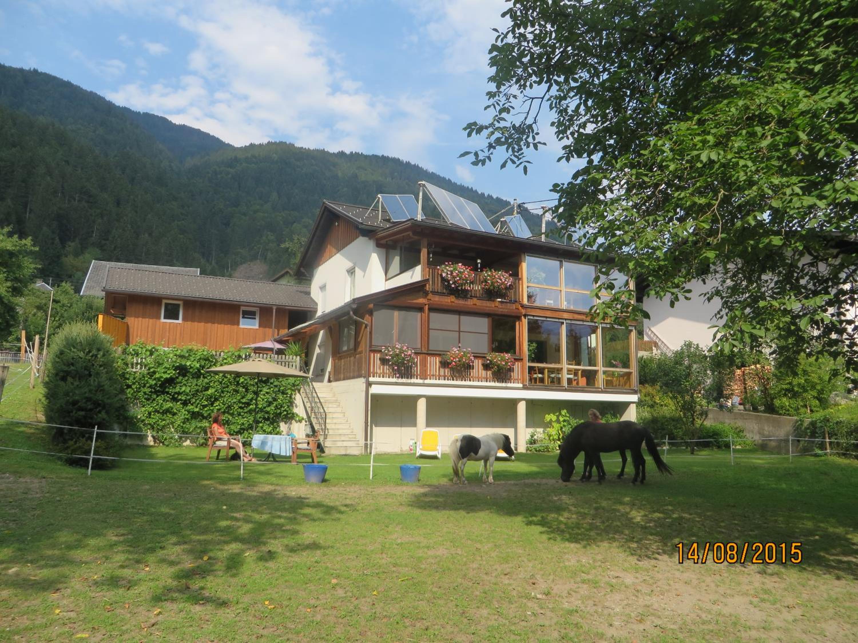 Photo 11