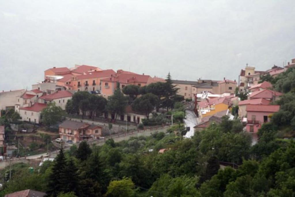 Photo 42