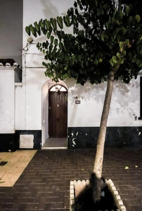 House of Colour, a 3 bedroom Bold Retreat in Town Centre! view 3