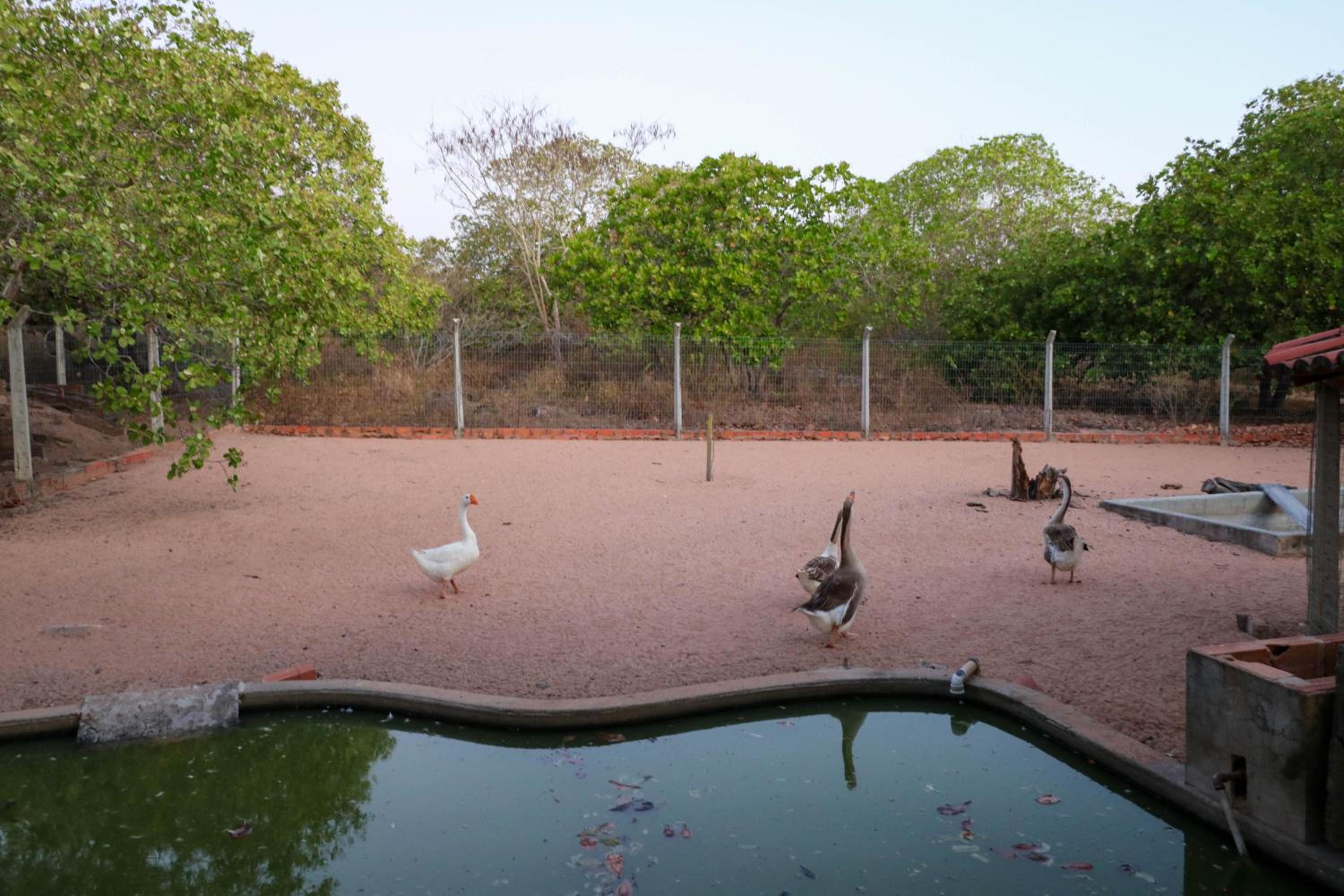 Rancho Império do Cajú
