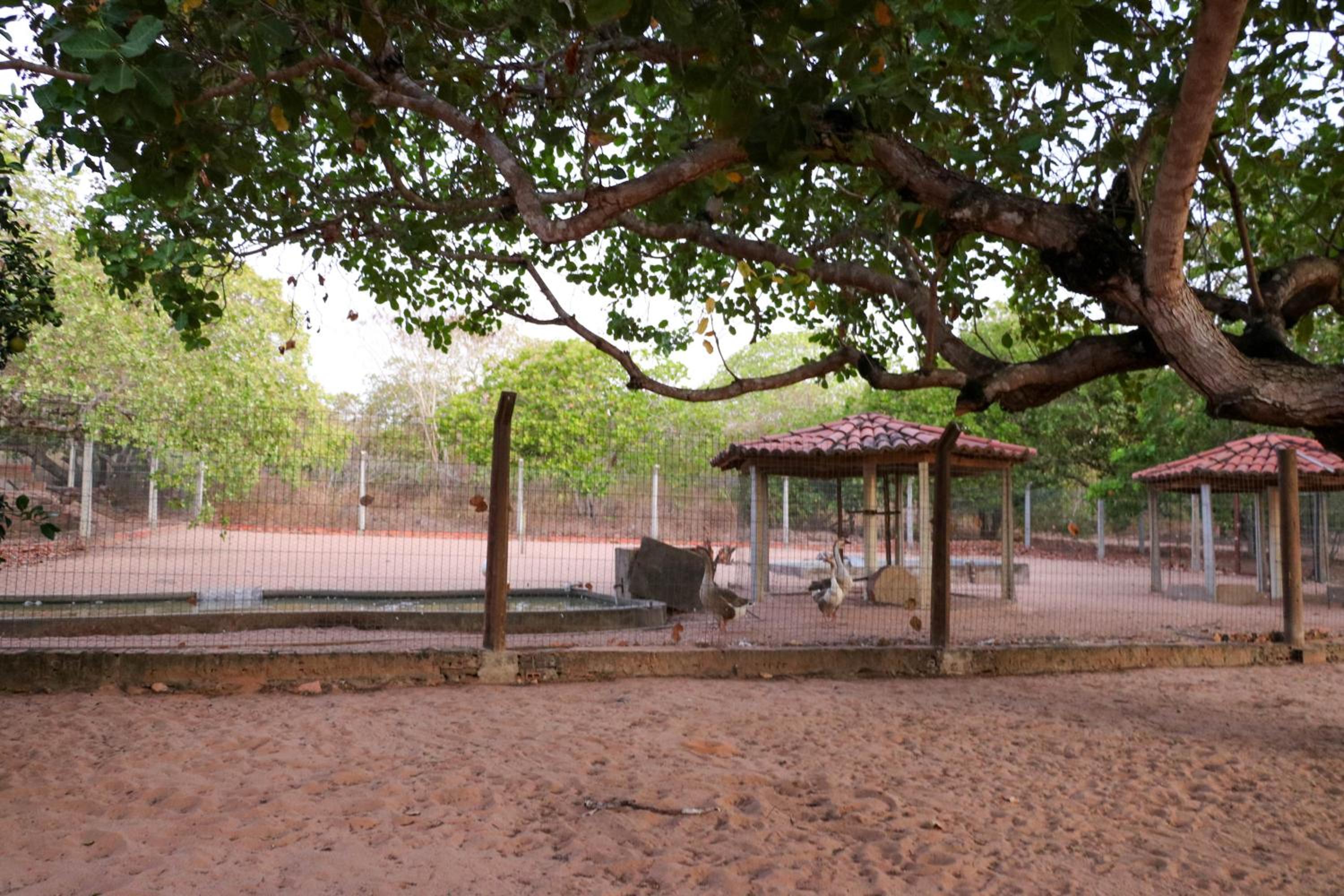 Rancho Império do Cajú