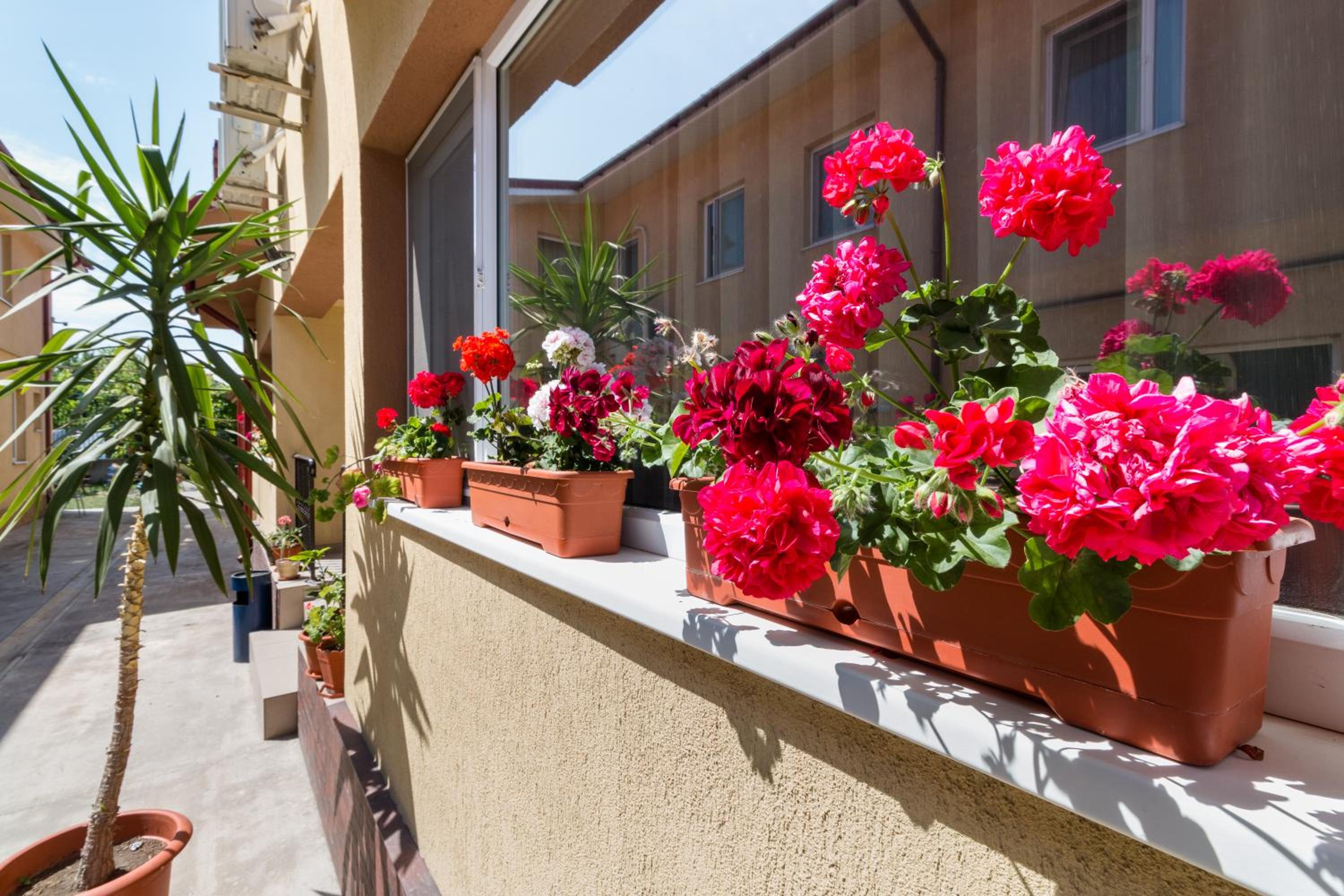 Casa Dinii