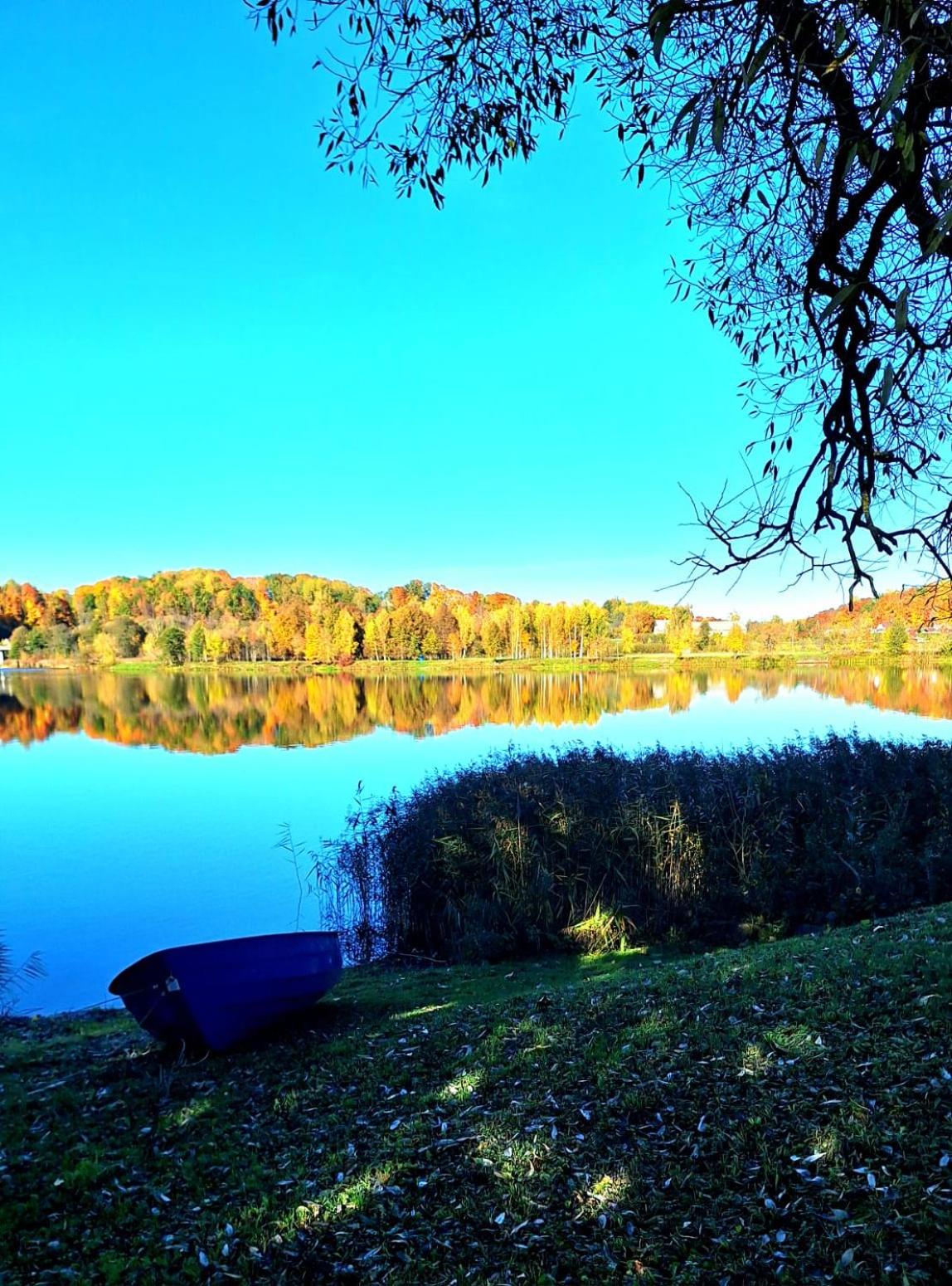 Brīvdienu māja Daugavas vītoli