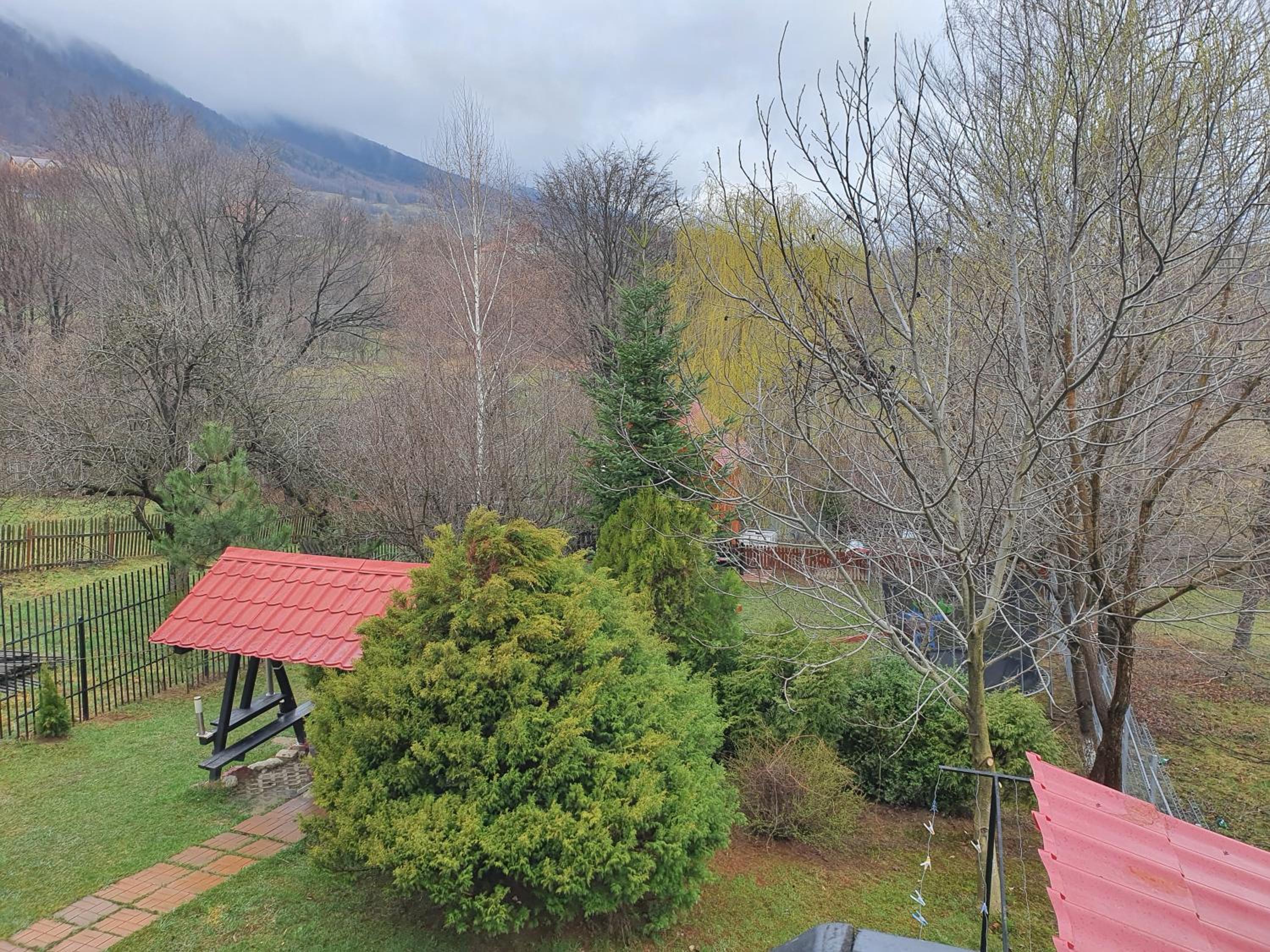 Pensiunea CAPRA CU TREI IEZI view 4