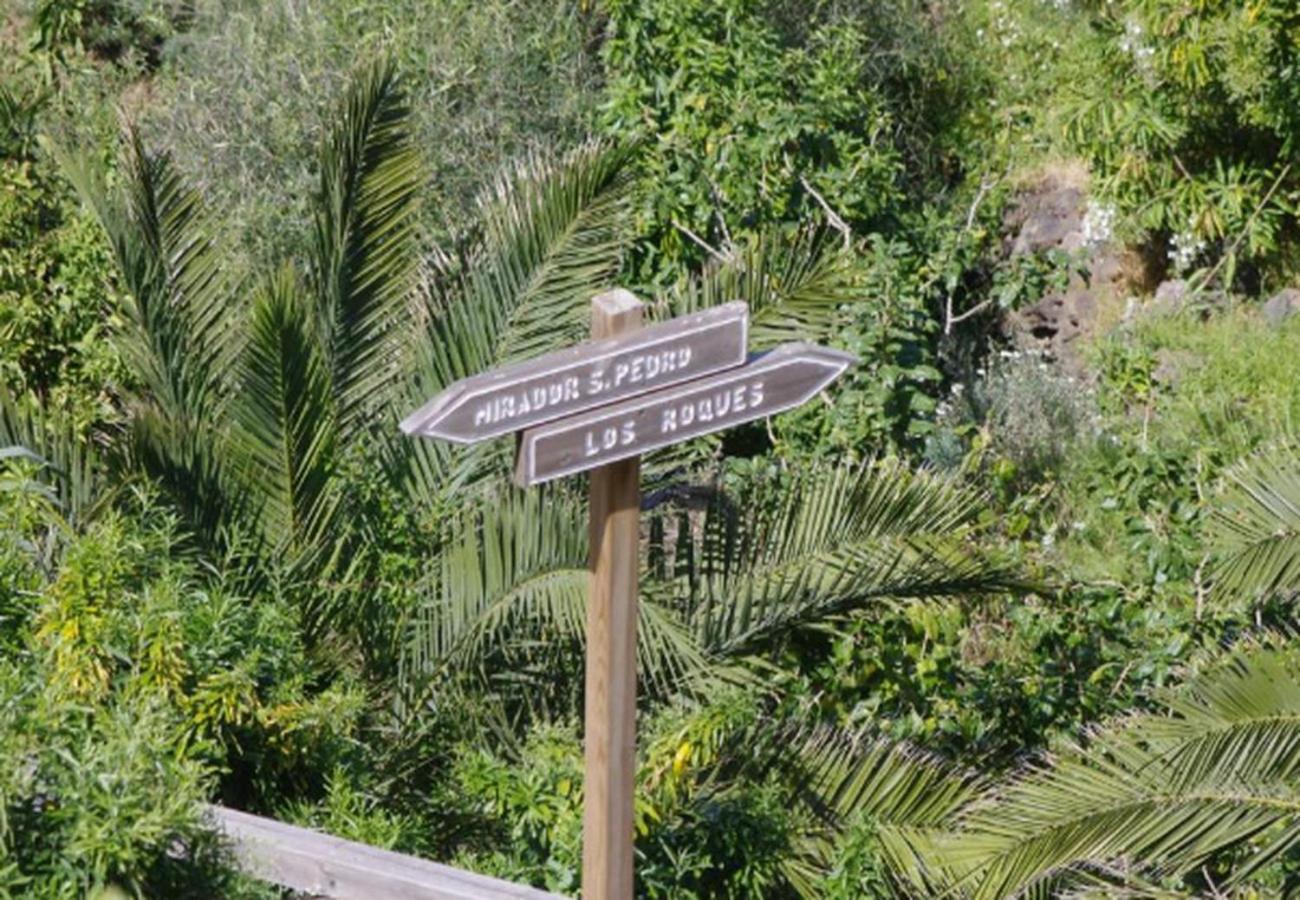 Apartamento Sobre acantilado Vistas al Mar Los Realejos