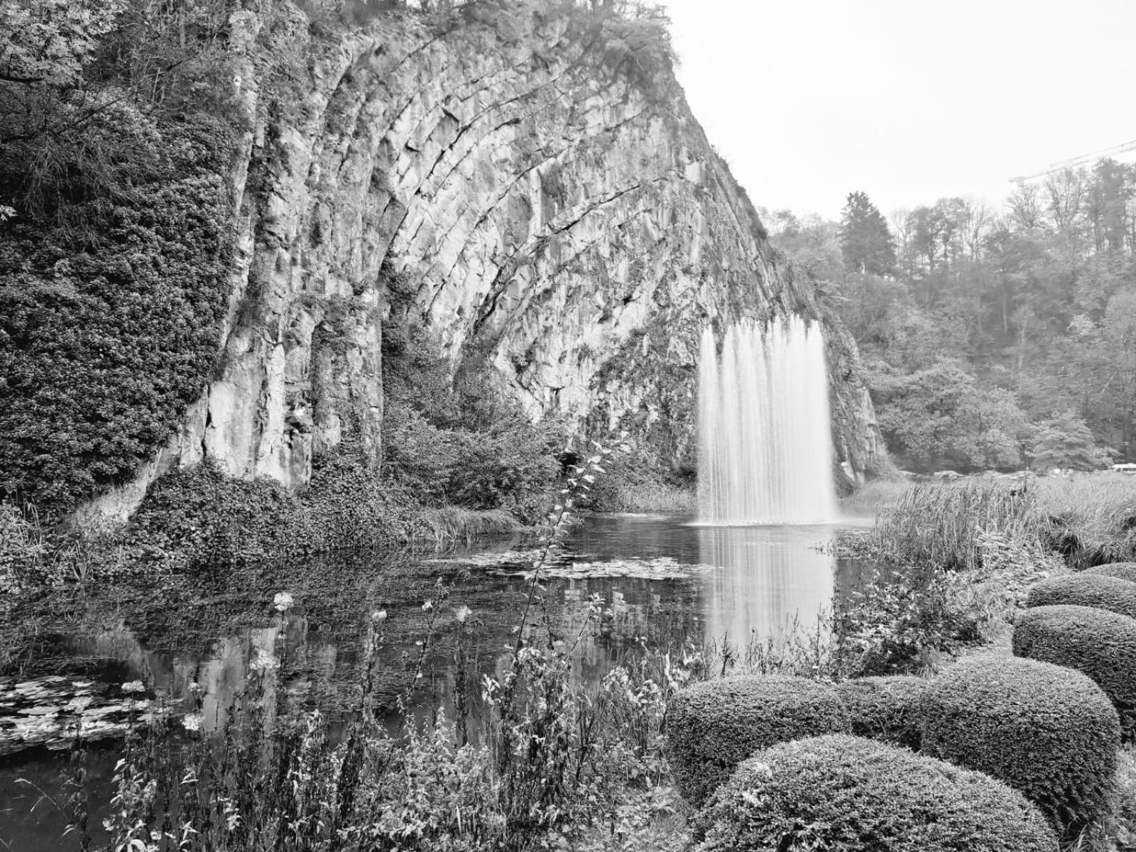 Boshuisje Viva l'Ardenne - Chalet 122