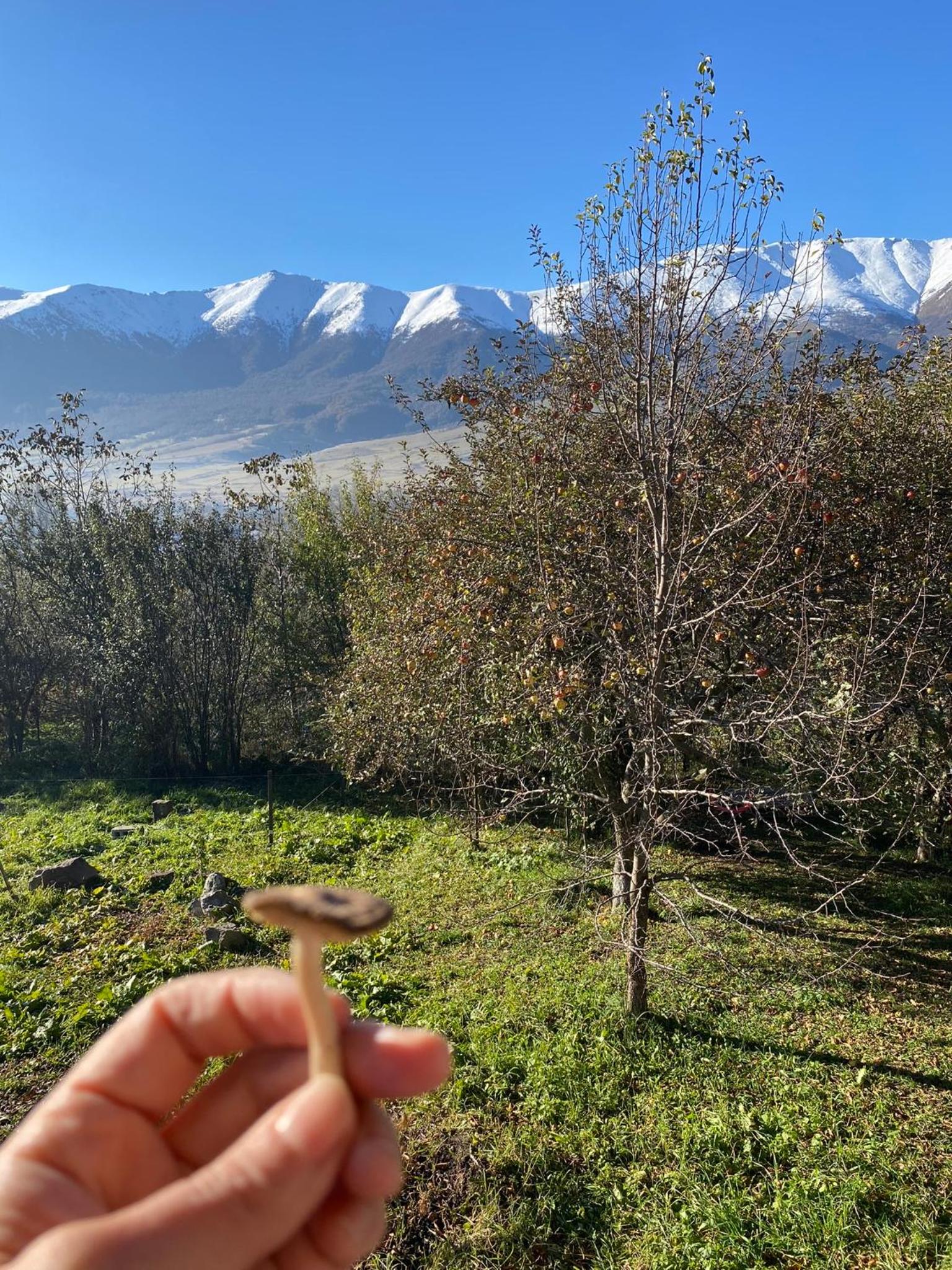 Dez Guest House with Mountain View