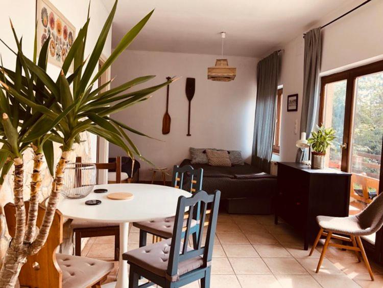 Repülőhal Apartmanház