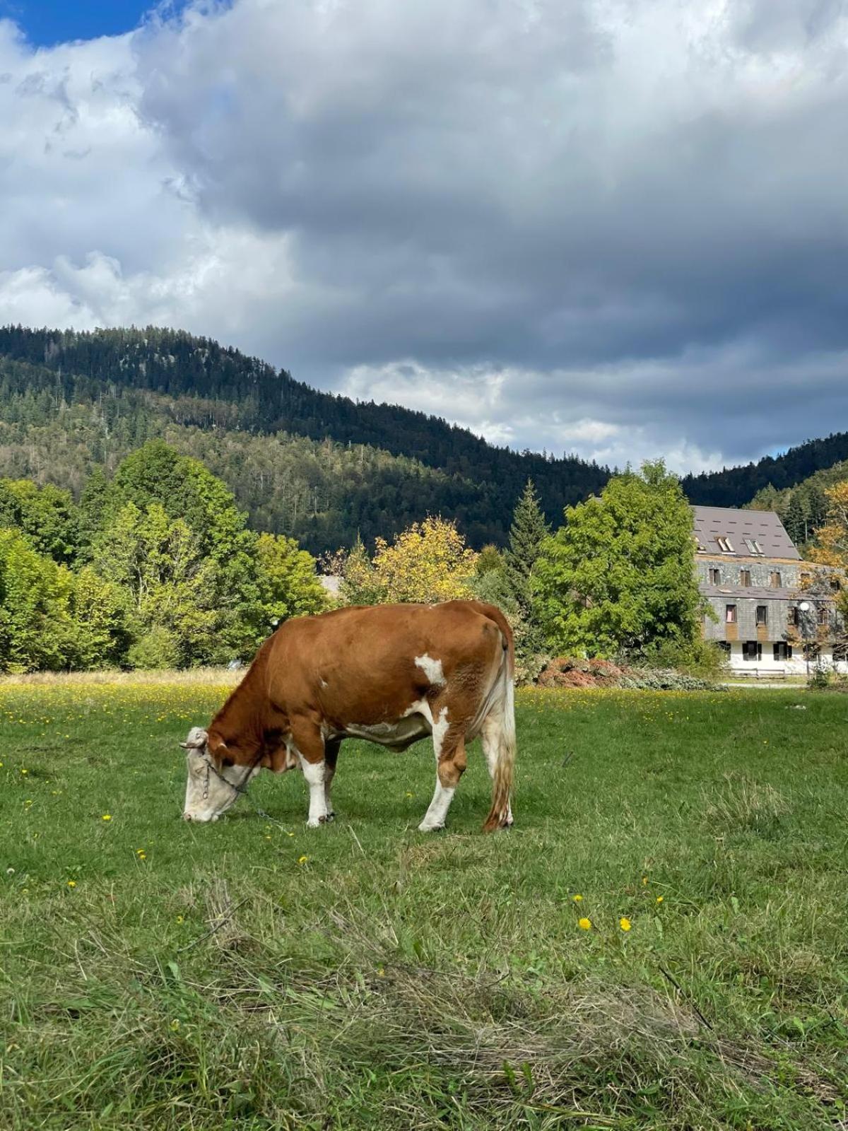 Kuća za odmor Petra