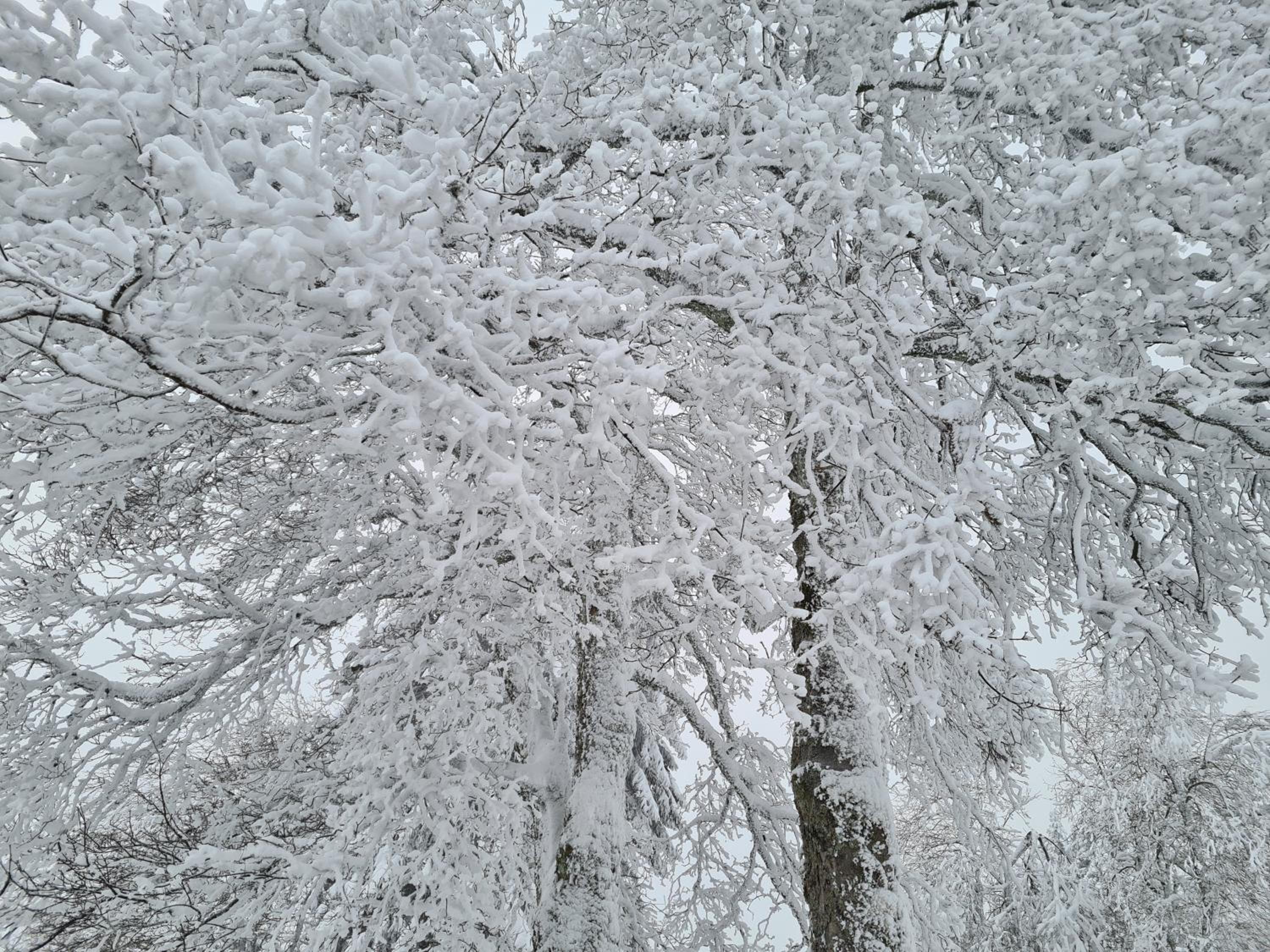 BergButzen mit Balkon