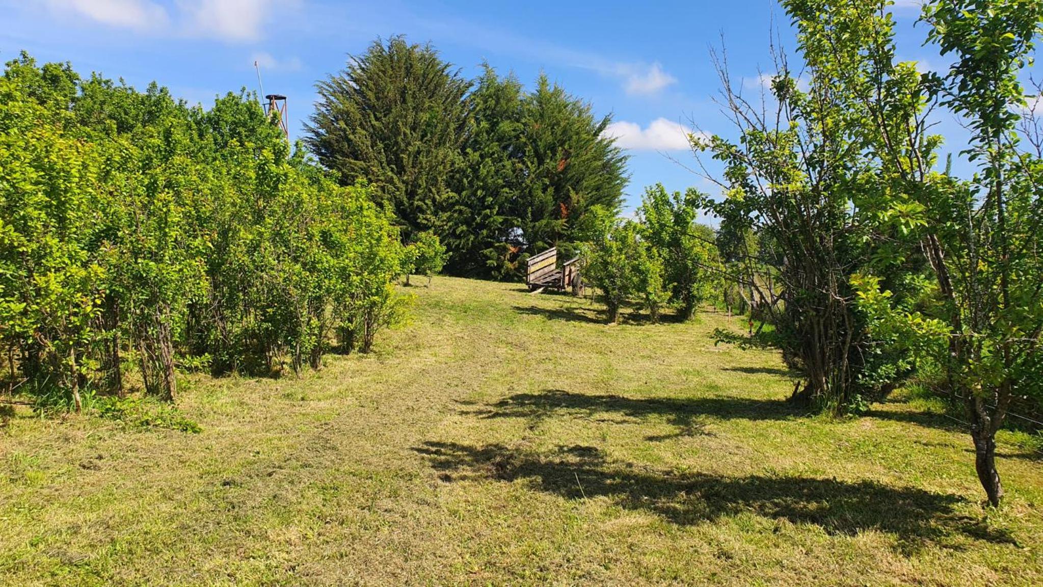 Cabaña campestre a 7min de Osorno