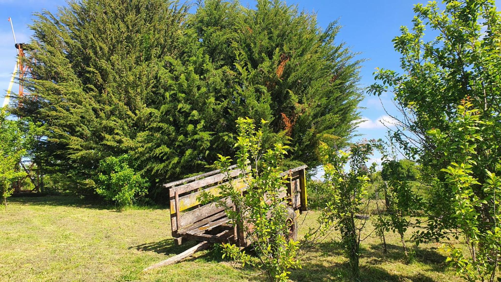 Cabaña campestre a 7min de Osorno