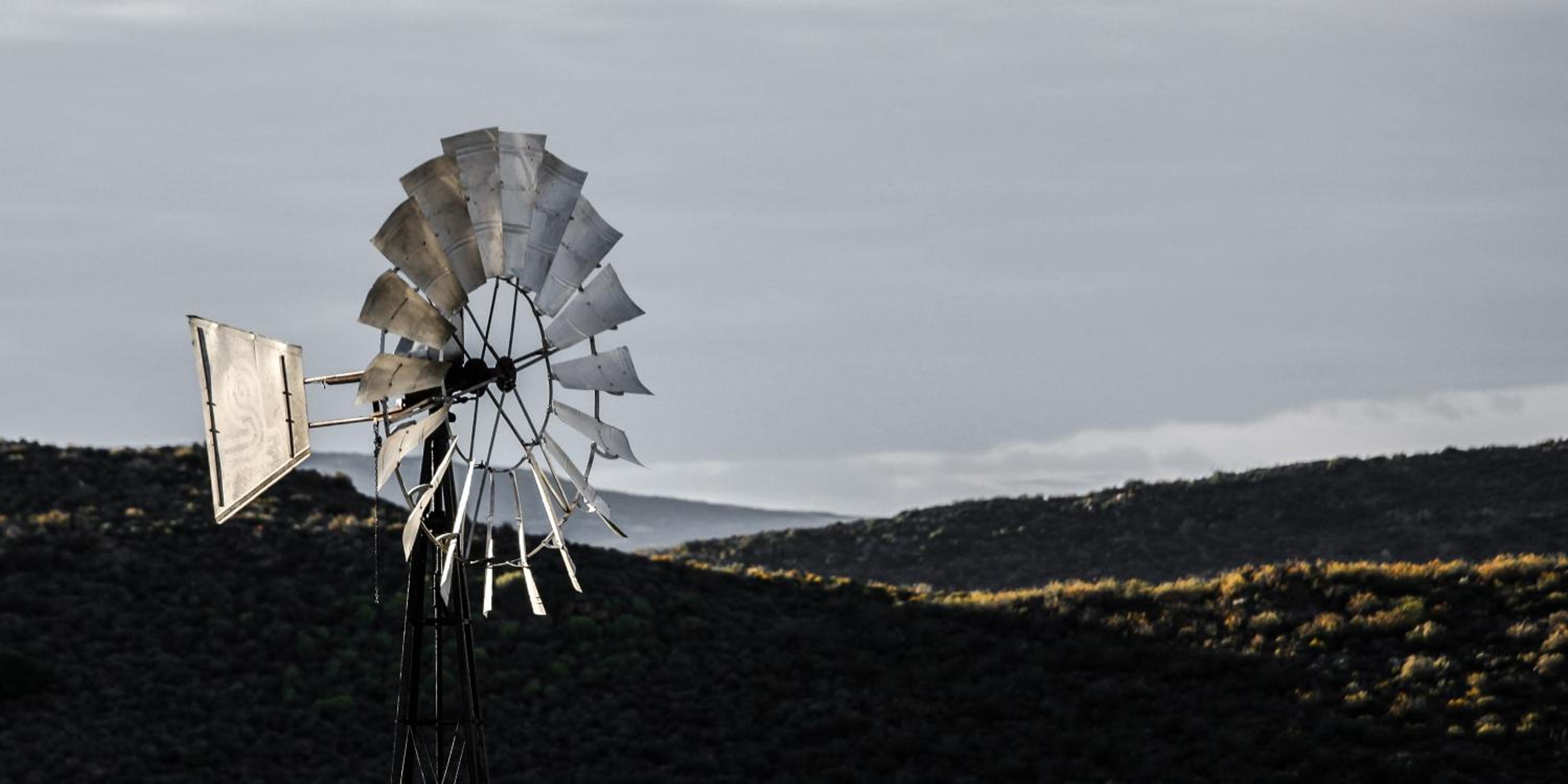 Photo 127