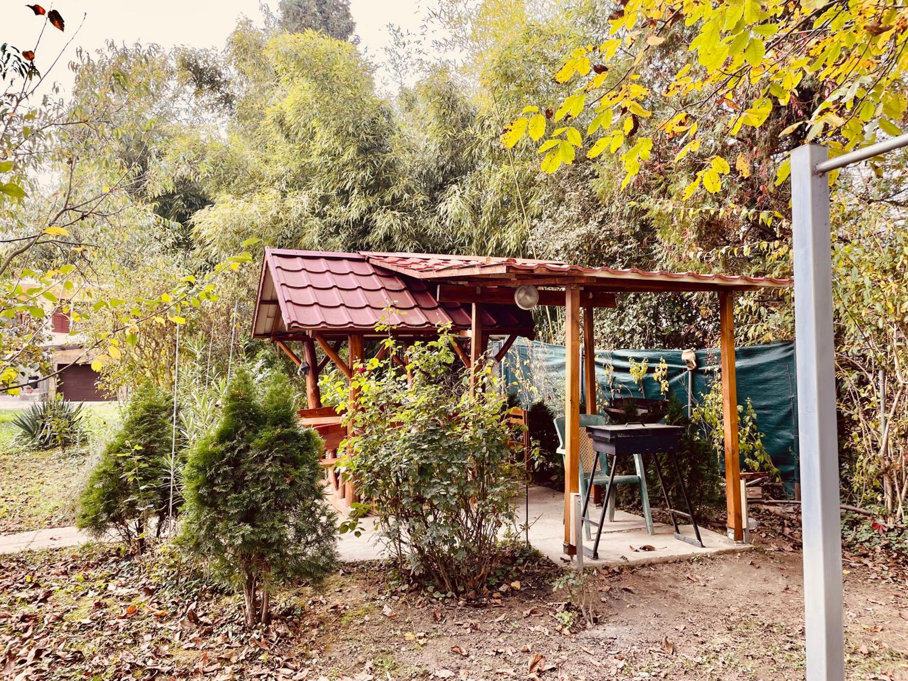 Photo 17