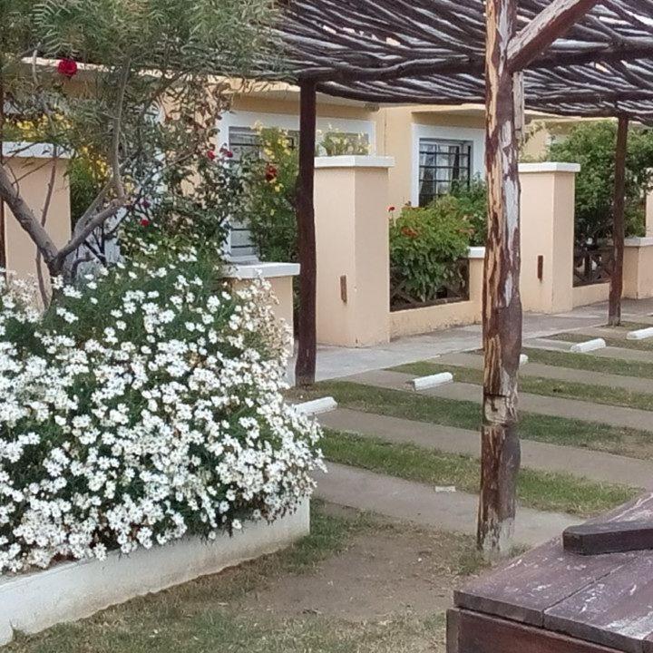 Hippocampus Casas de Mar