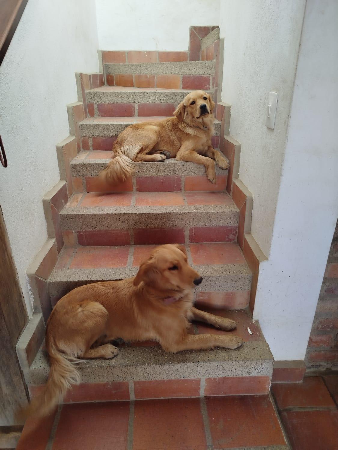 Apartamento ALTAMIRA de la VILLA de Leyva