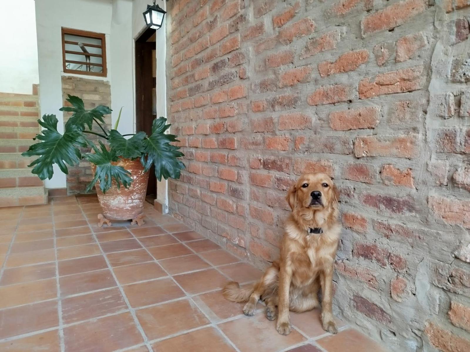 Apartamento ALTAMIRA de la VILLA de Leyva