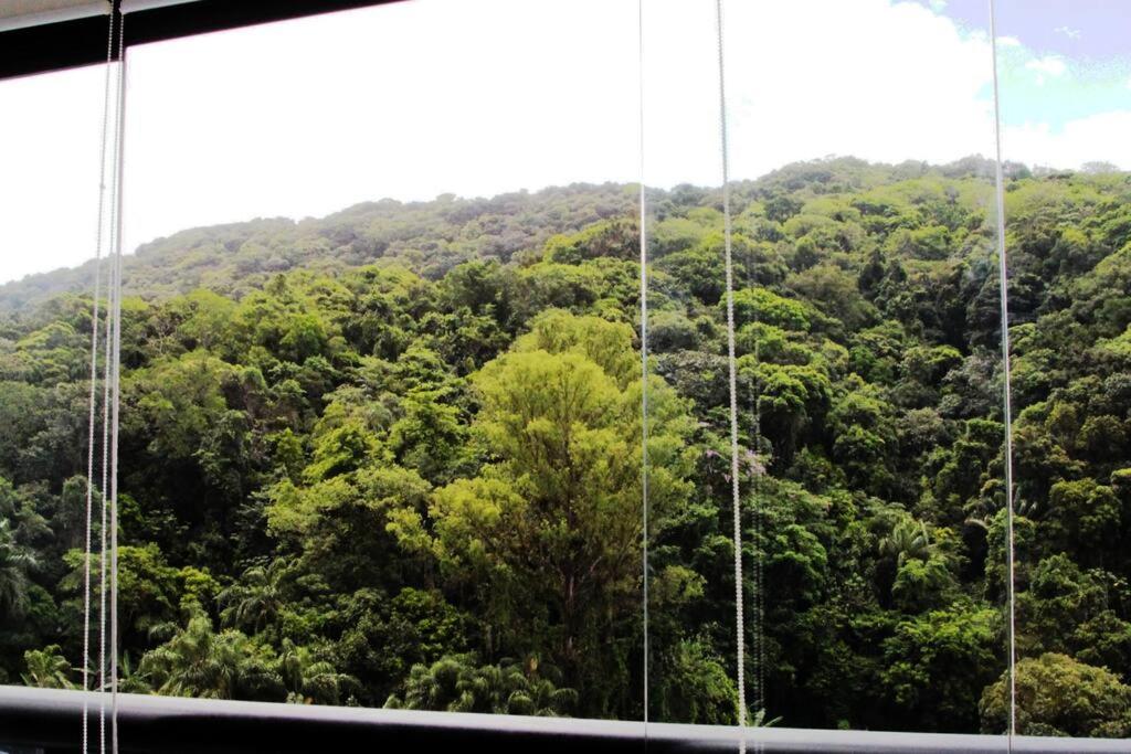 Flat aconchegante na praia com vista para a mata