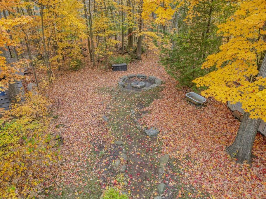 Cozy Cabin Retreat Hot Tub and Fire Pit