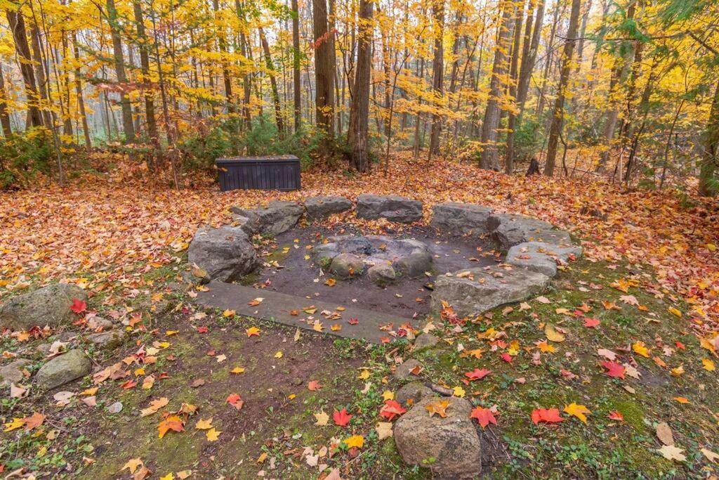 Cozy Cabin Retreat Hot Tub and Fire Pit