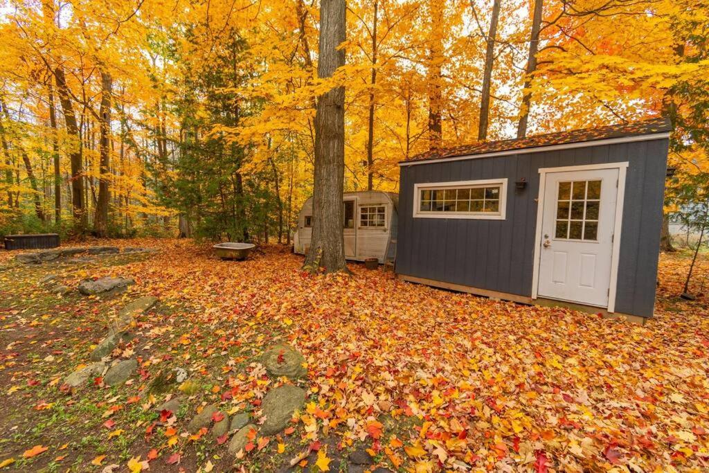 Cozy Cabin Retreat Hot Tub and Fire Pit