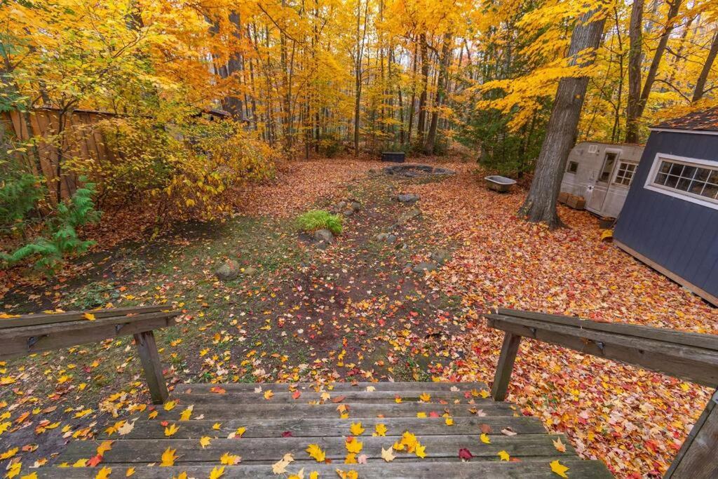 Cozy Cabin Retreat Hot Tub and Fire Pit