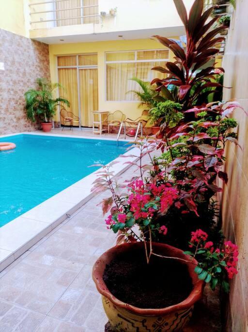 Apartamento 300 Tercer piso,cómodo ,amplio,privado view 2