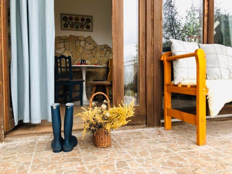Repülőhal Apartmanház