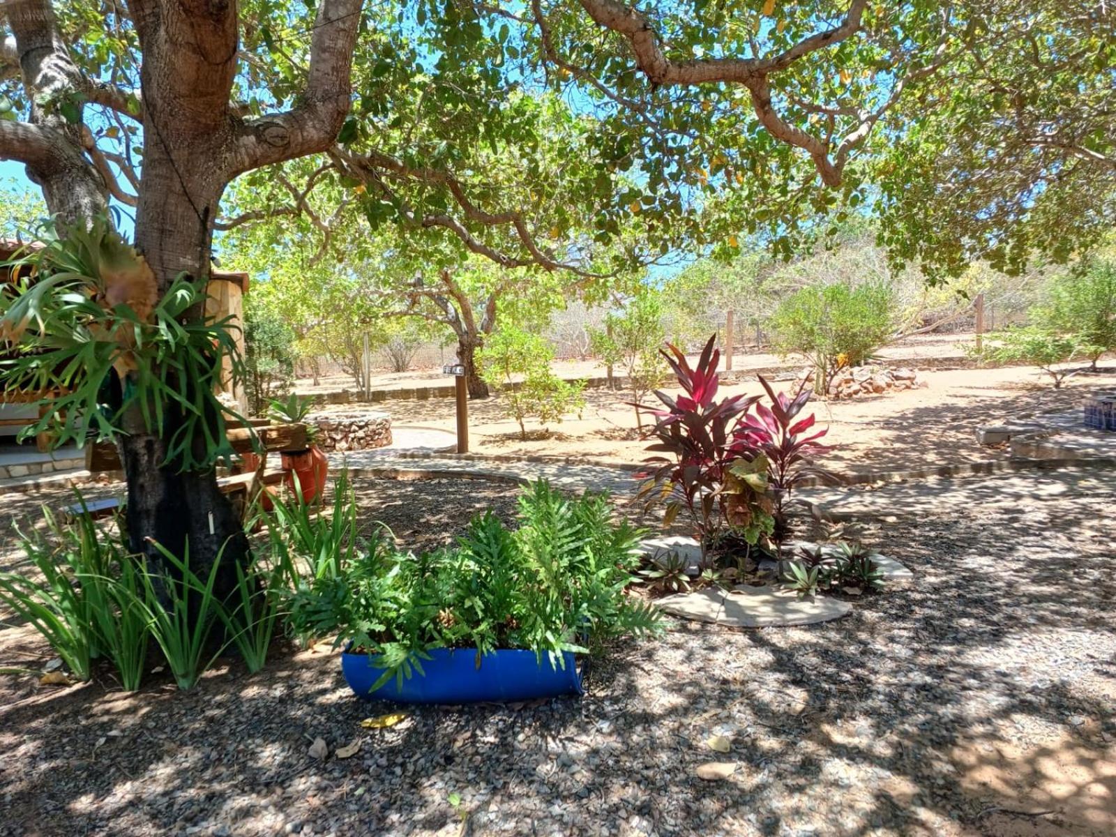 Rancho Império do Cajú
