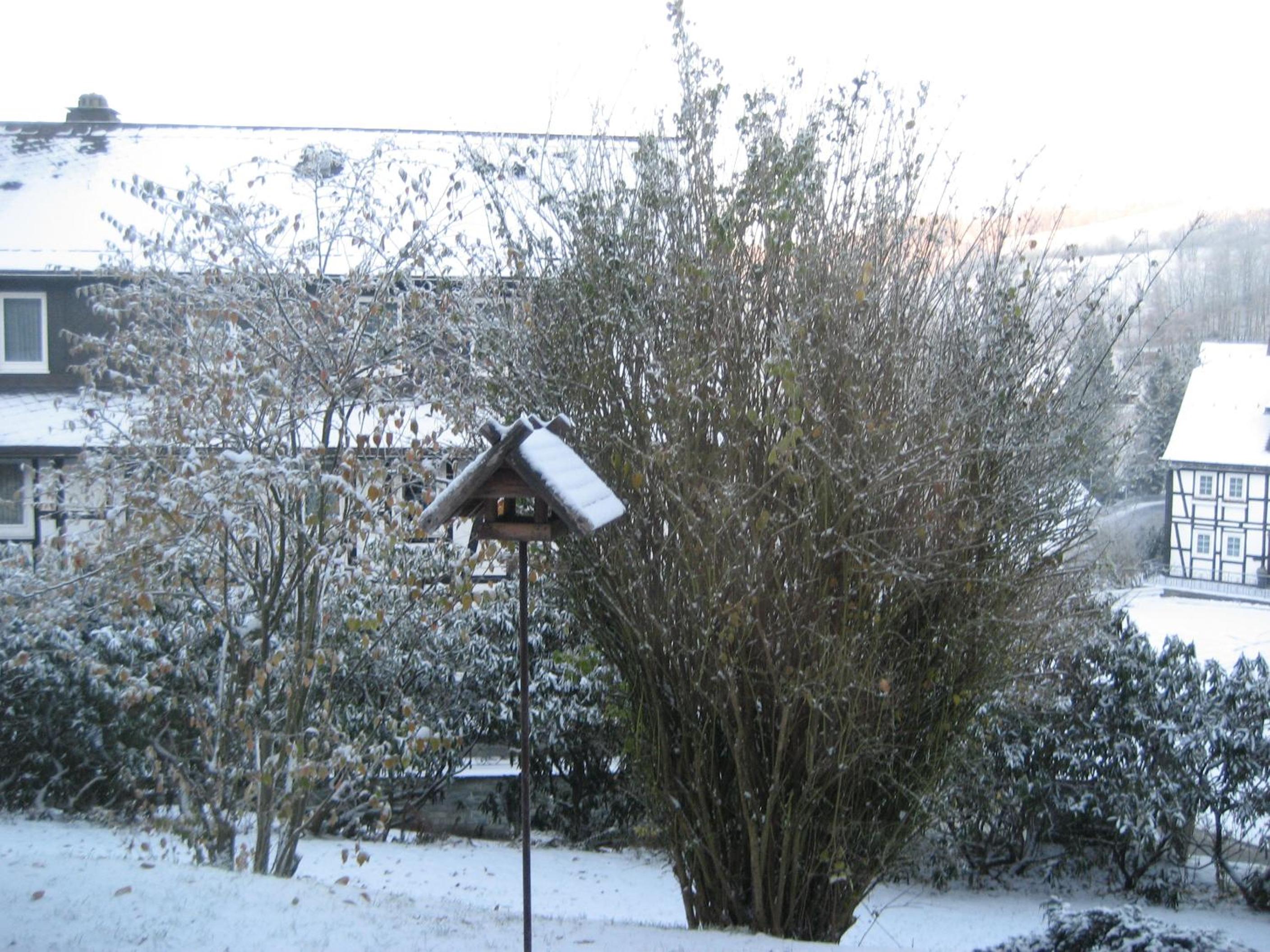 Photo 40