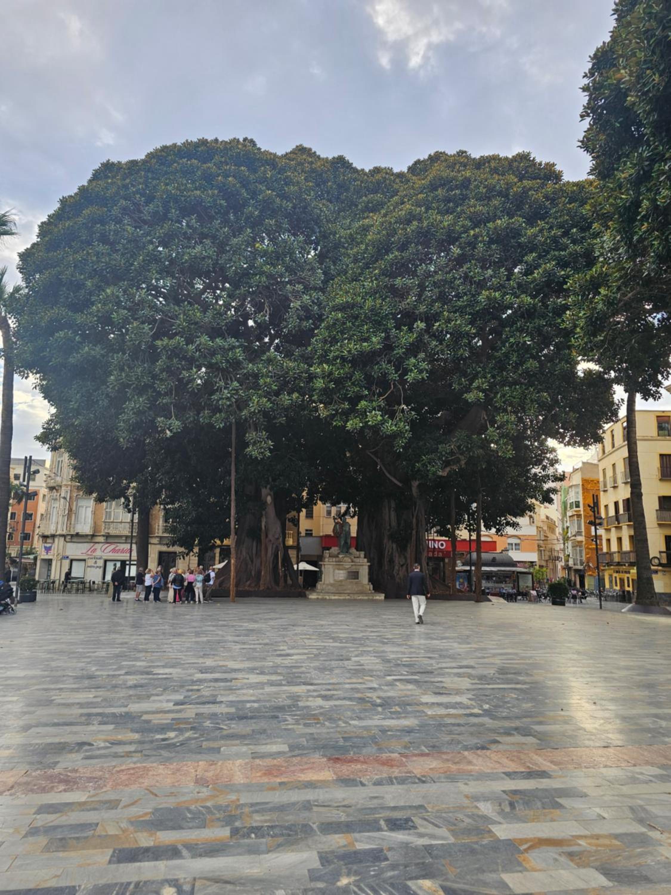 Vistas Al Puerto Los Miradores