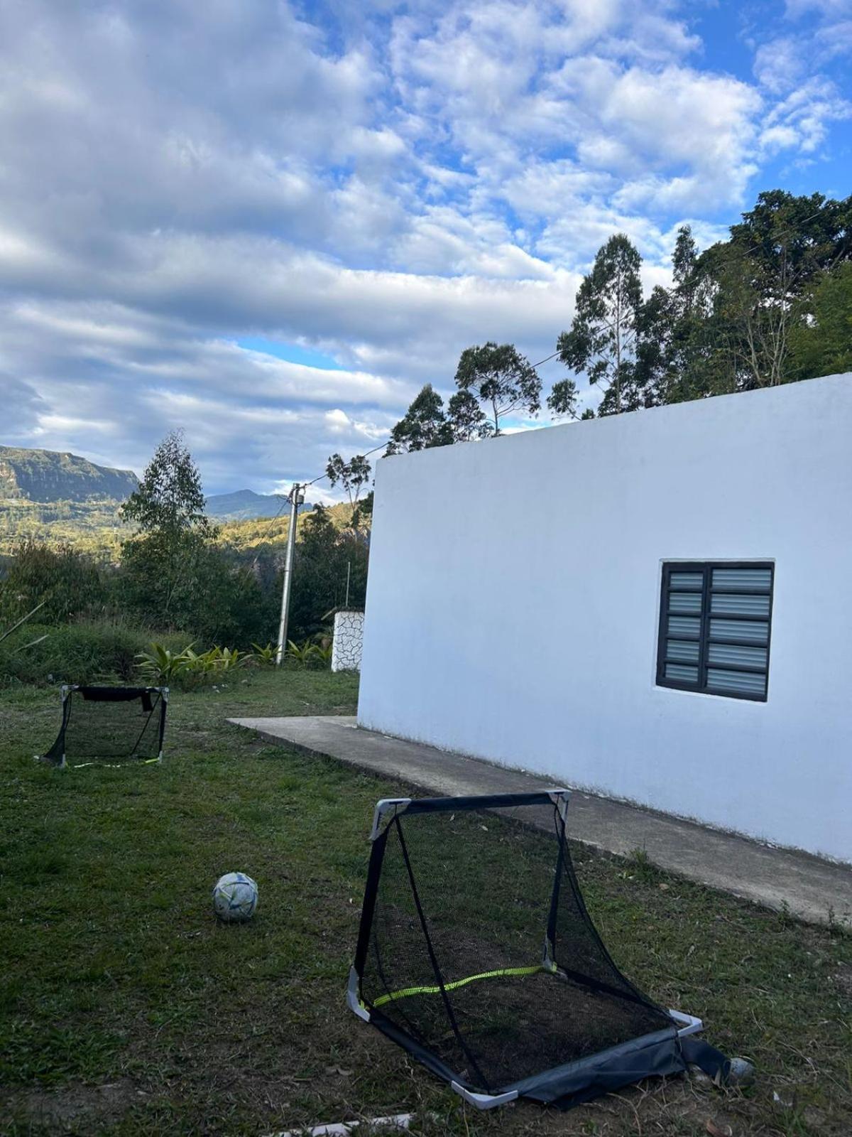 Vibes Home