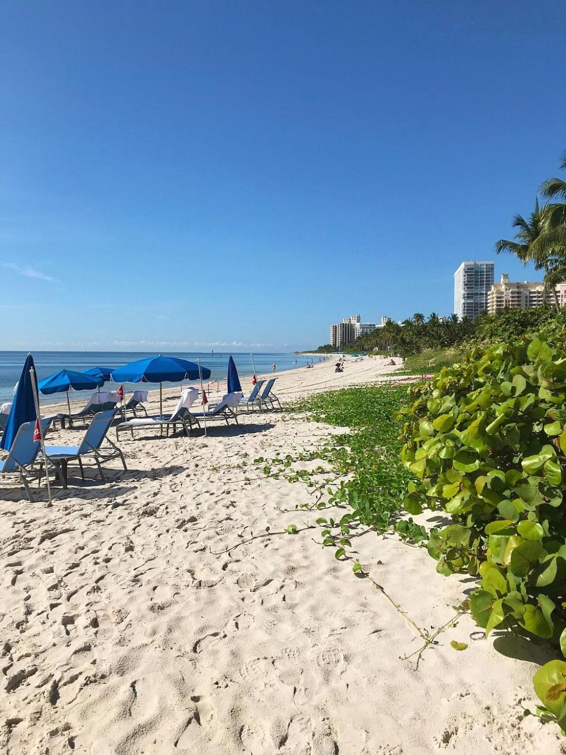 Studio Located at The Ritz Carlton Key Biscayne, Miami