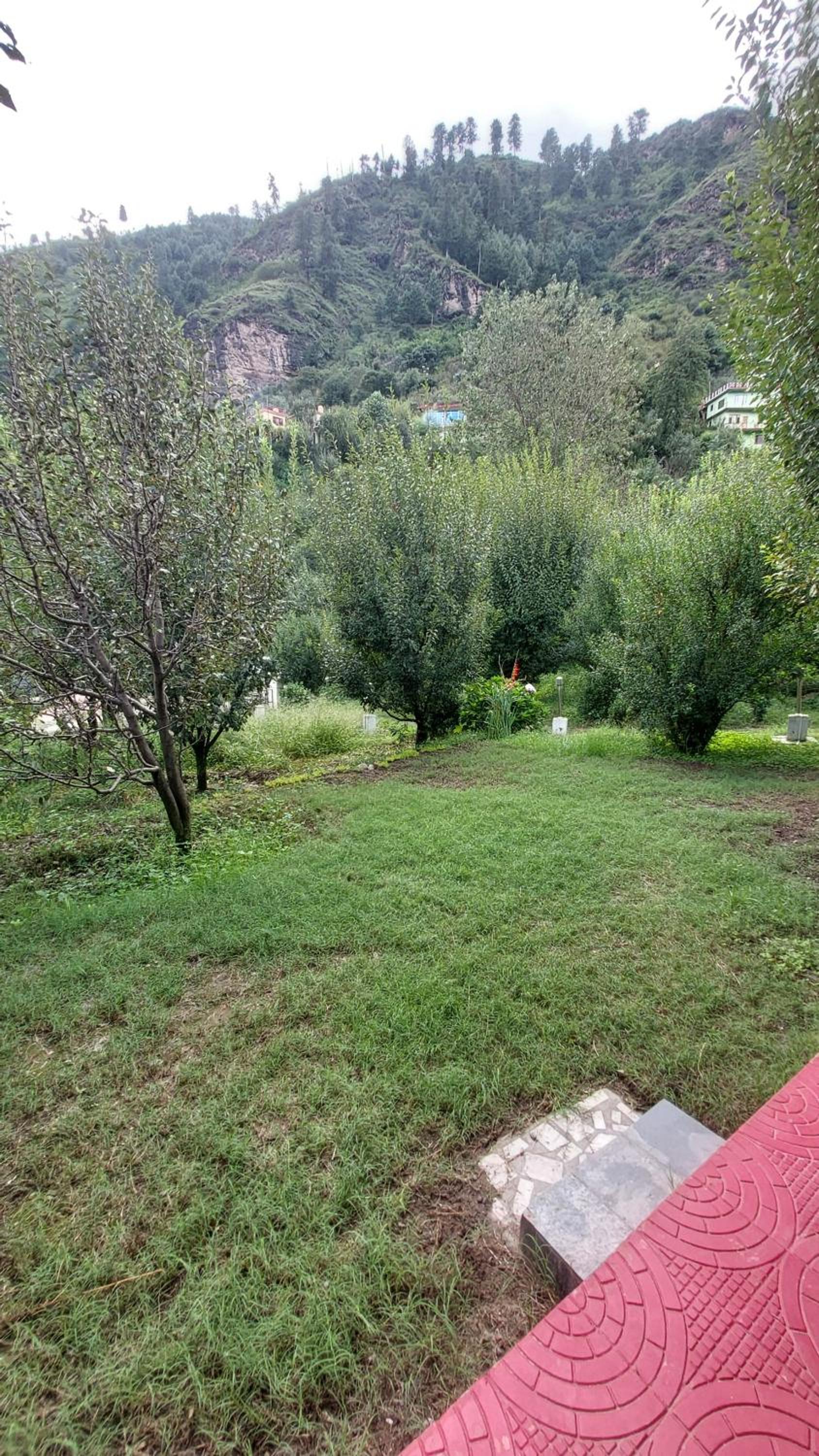 Photo 47