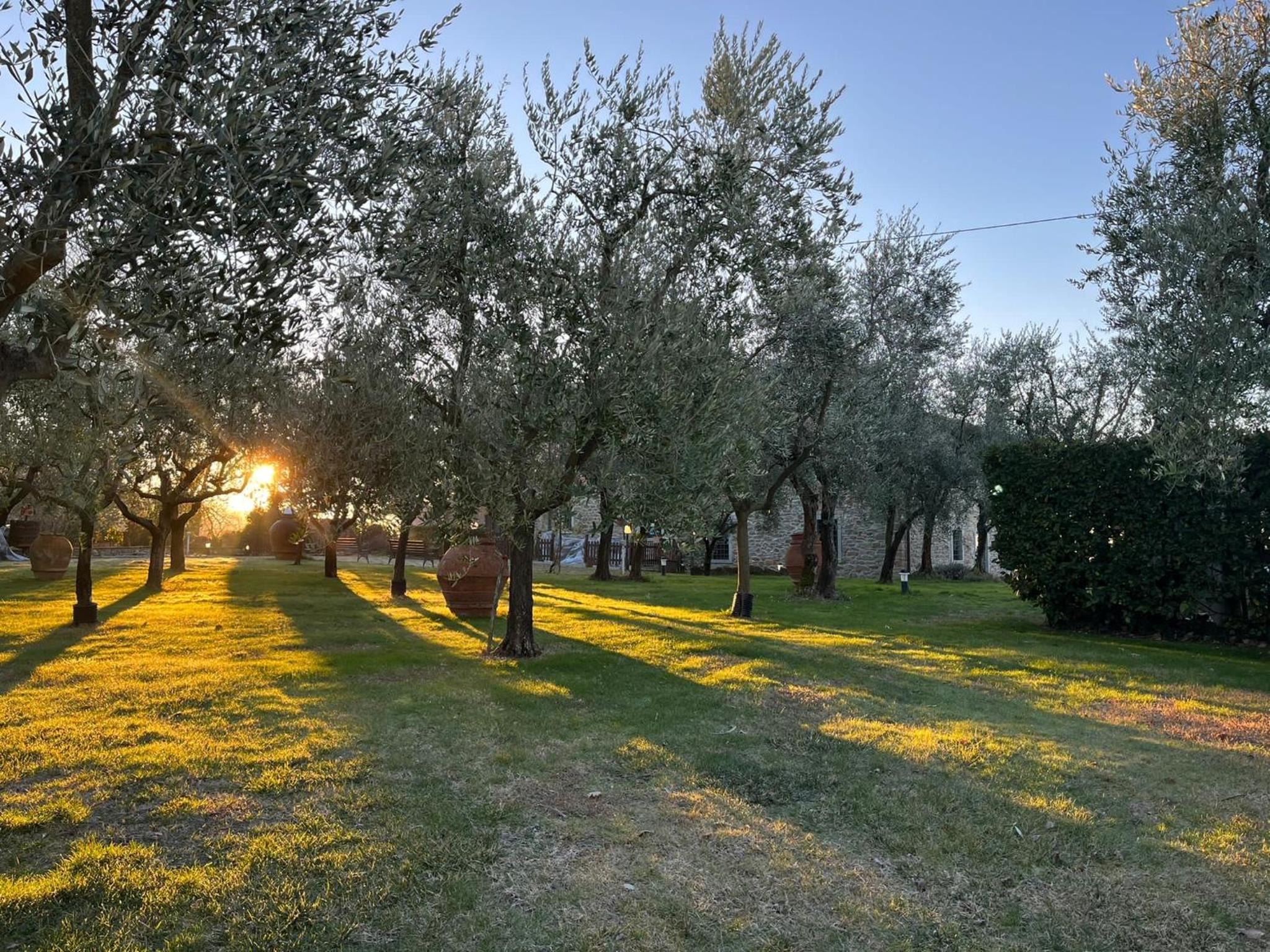 Agriturismo Podere Campiglia
