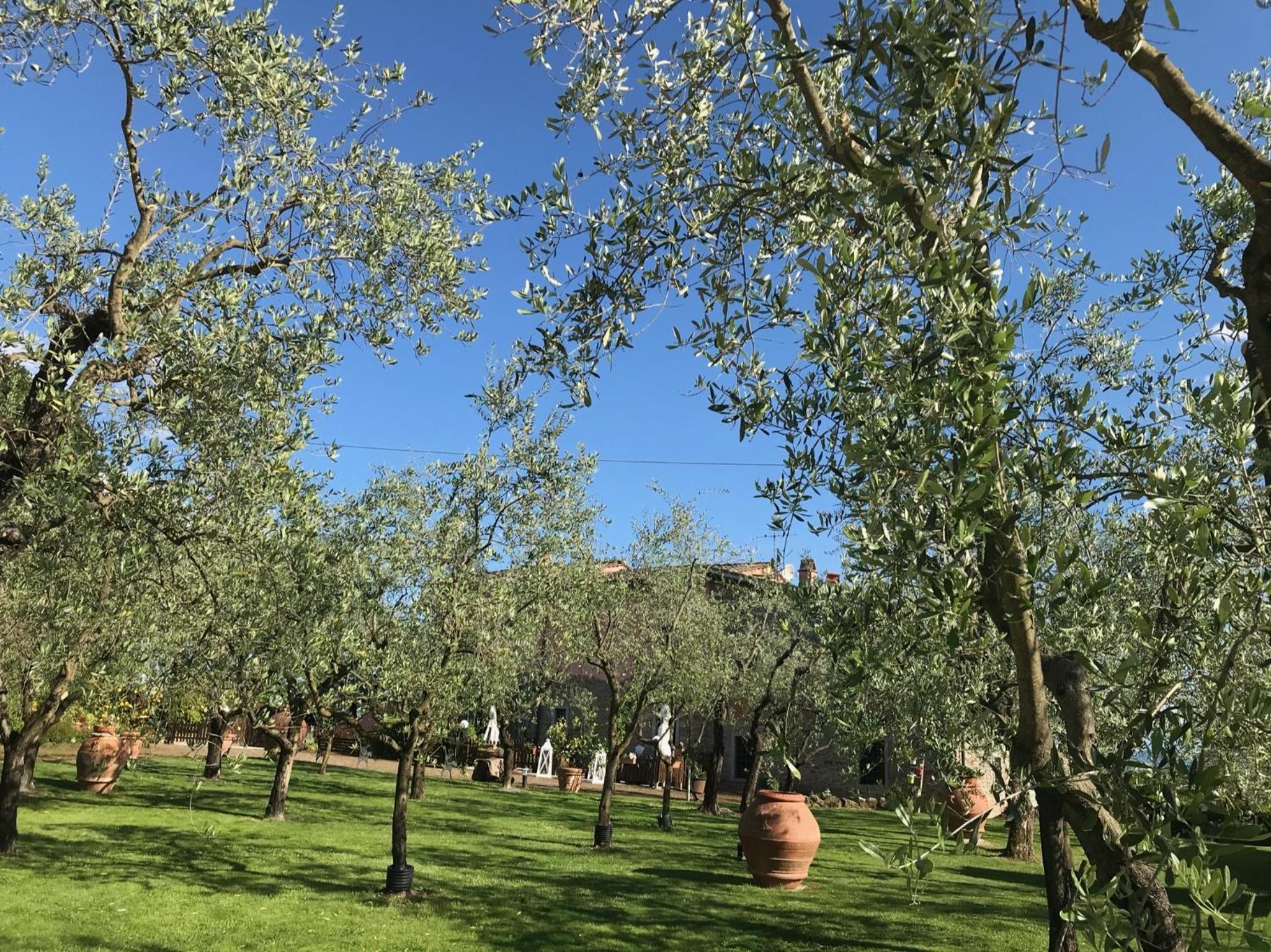 Agriturismo Podere Campiglia
