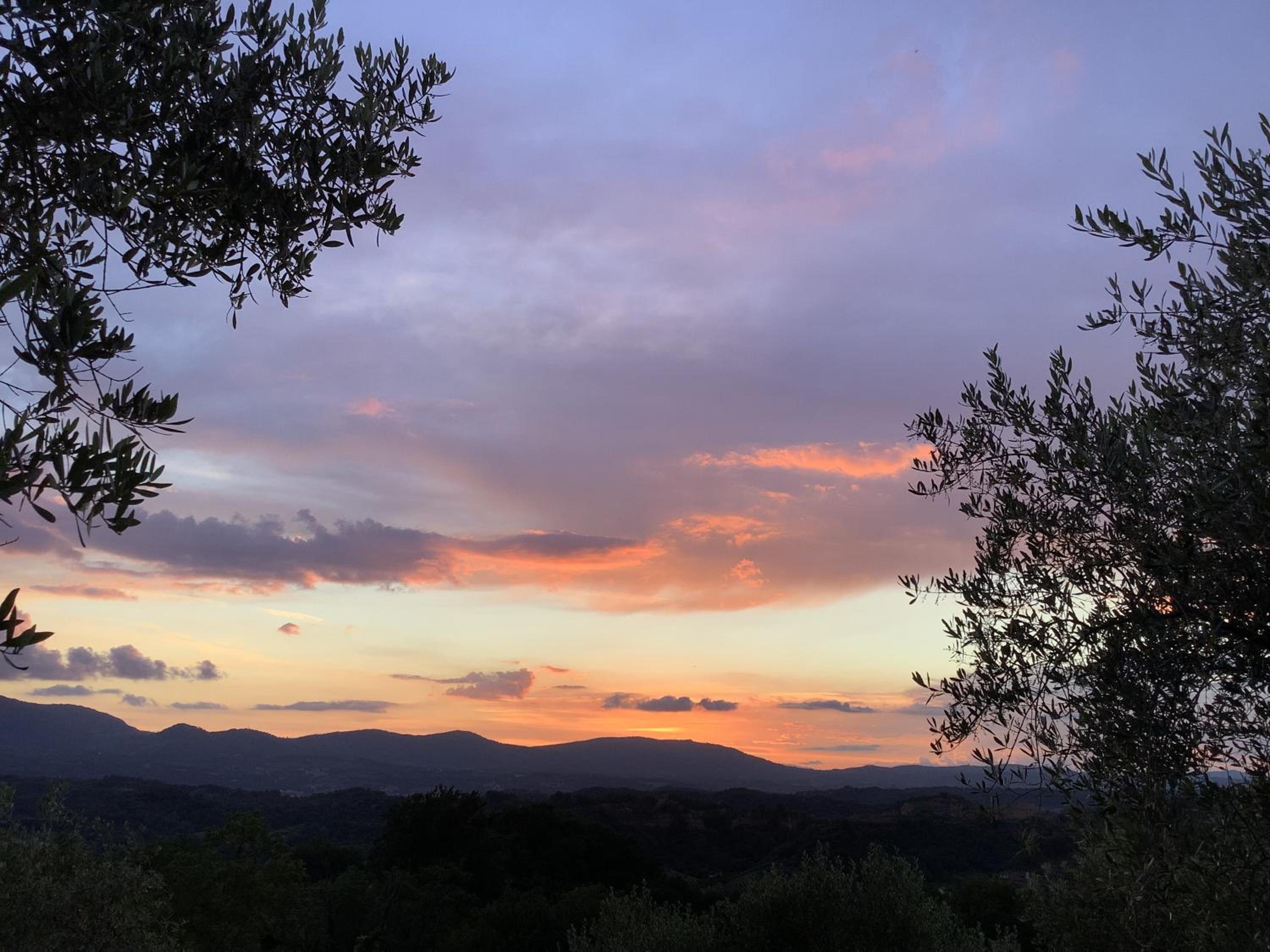 Agriturismo Podere Campiglia