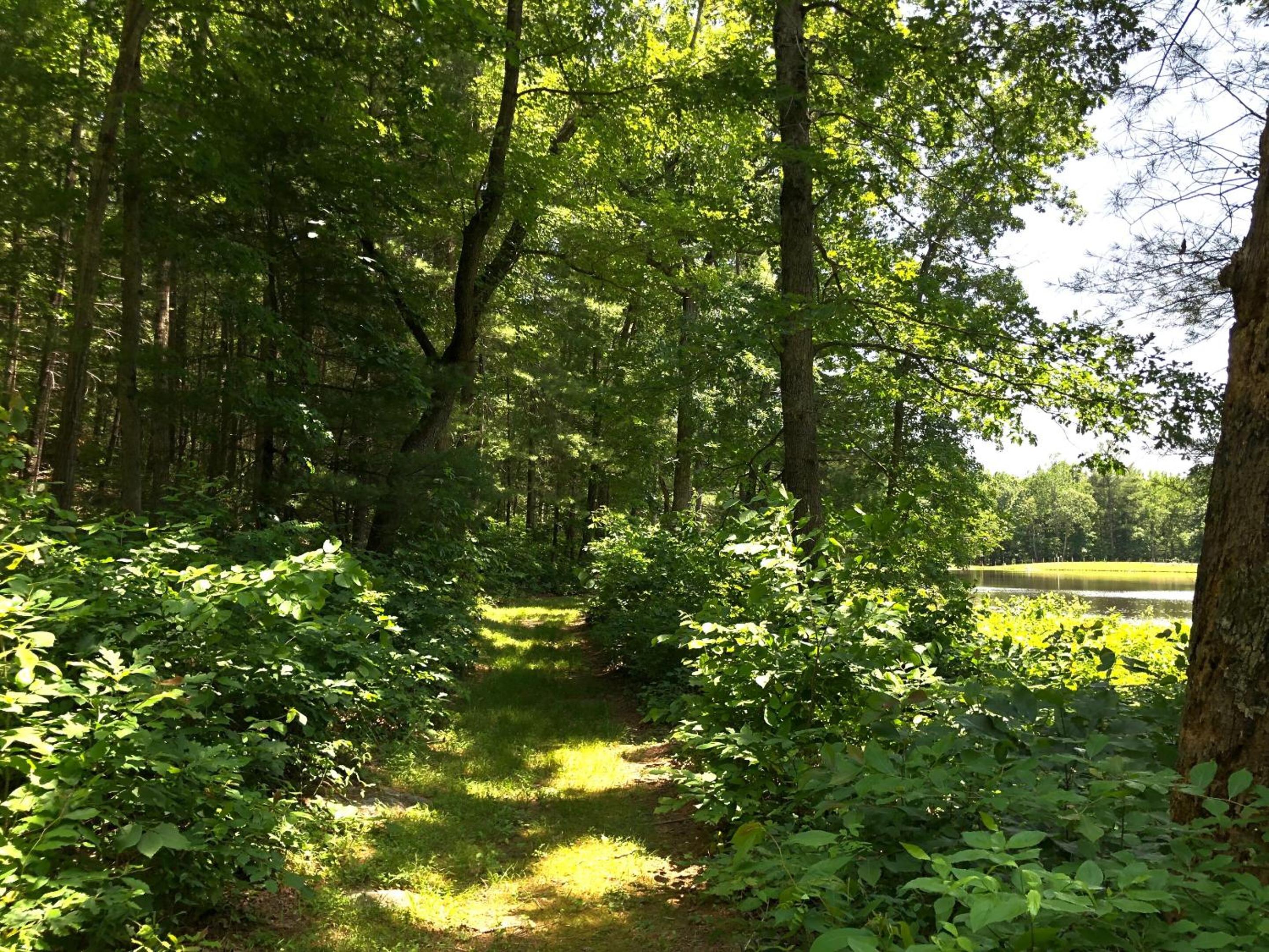 Montfair Resort Farm