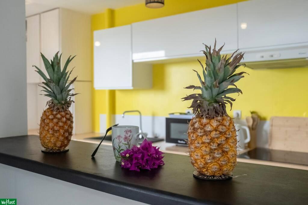 Moutte - Superbe appartement pour deux
